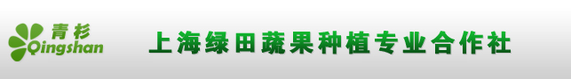 上海绿田蔬果种植专业合作社